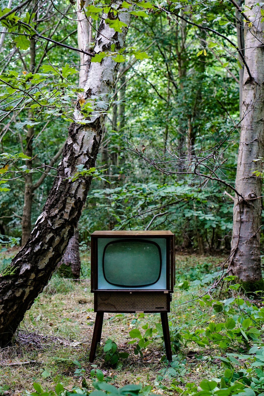 vintage television icons